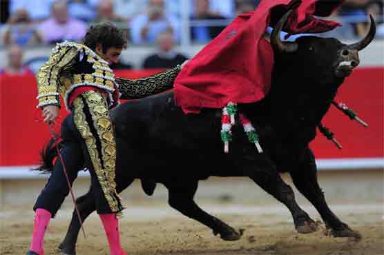 Spain parliament moves to protect bullfighting