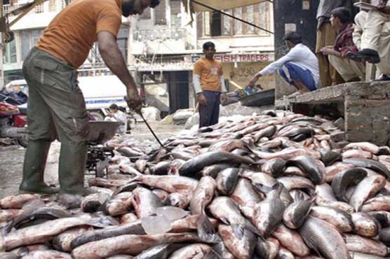 EU lifts ban on Pak fish exports