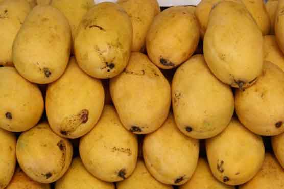 Pakistan mangoes to attract Japanese market: Pak envoy