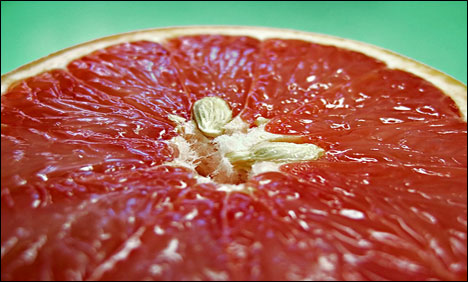 Florida researchers develop medically safer hybrid grapefruit