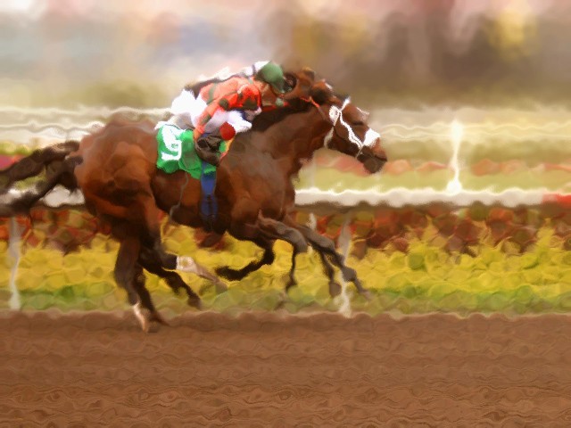 Horse racing: Denzaro wins Pakistan Derby 2013
