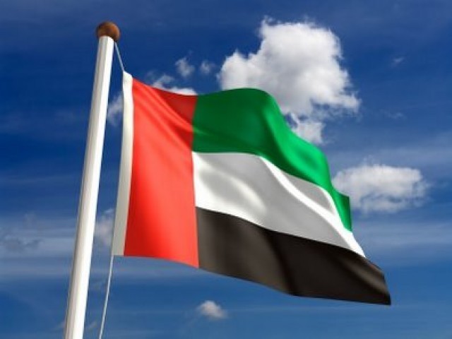 UAE energy minister replaced in cabinet reshuffle
