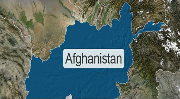  Afghan governor survives roadside bomb attack: officials 