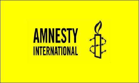  Amnesty urges full probe into Egypt crisis 