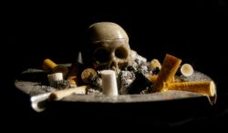  Study: Smoking rots brain 