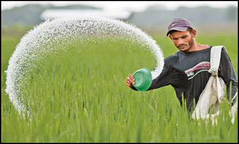 Urea prices reduced to Rs.1786 