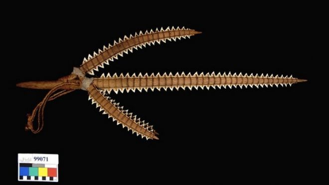 Shark-tooth weapons reveal lost species