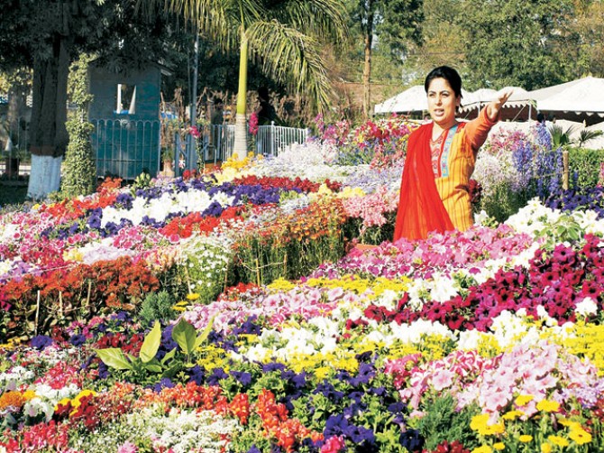Spring Flower Show attracts Nature lover at PMAS-AAUR
