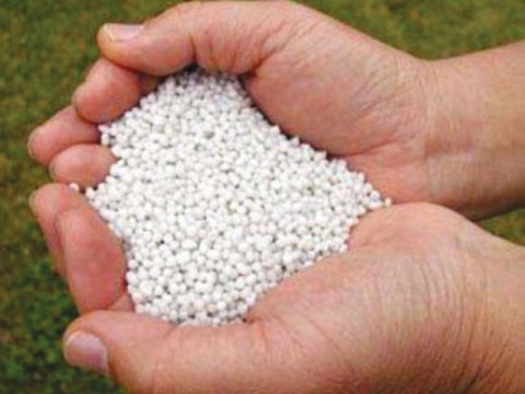 Urea sales up 155pc in Feb on annual basis